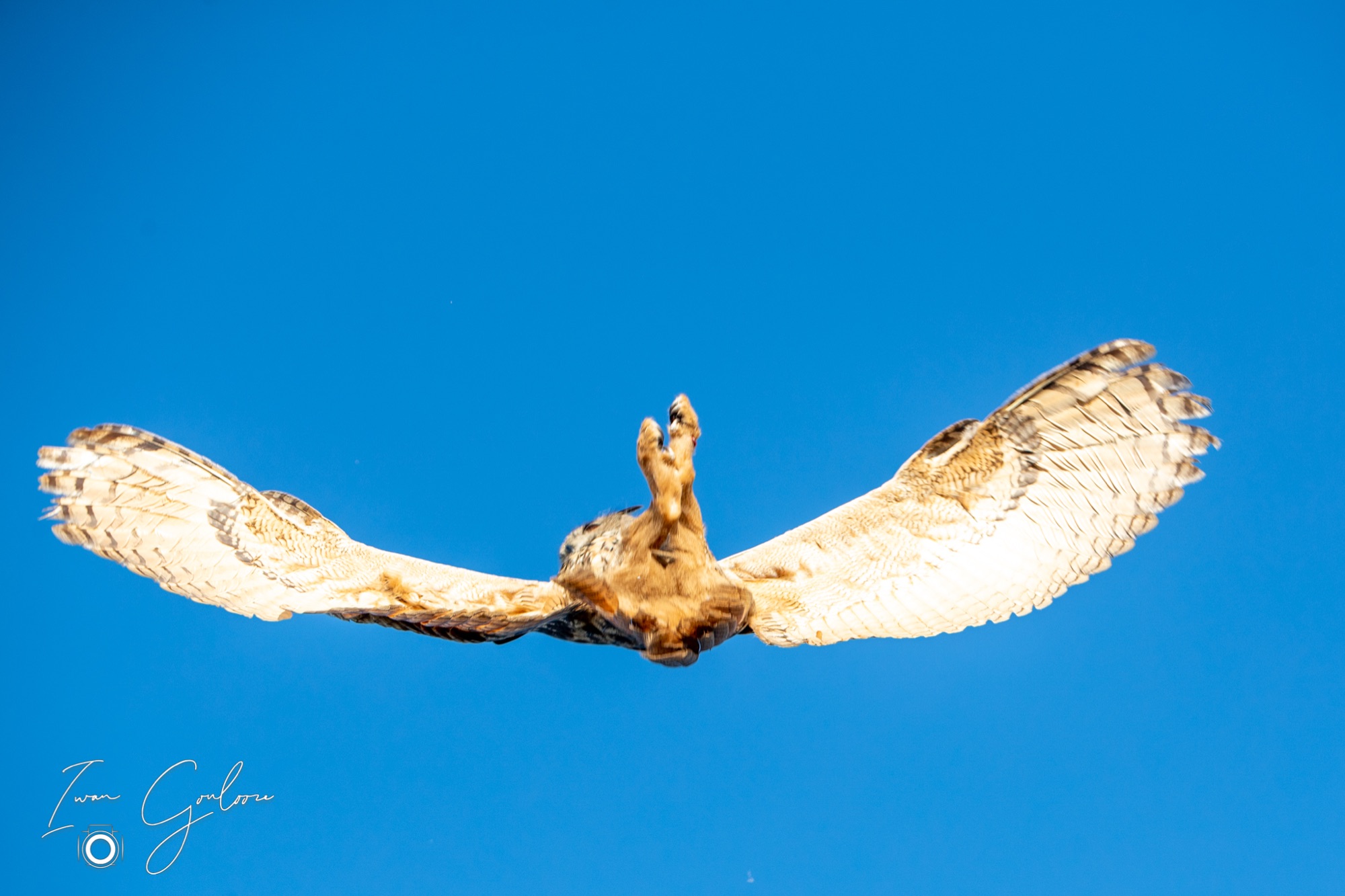 27 maart 2022 170801 1DX46660